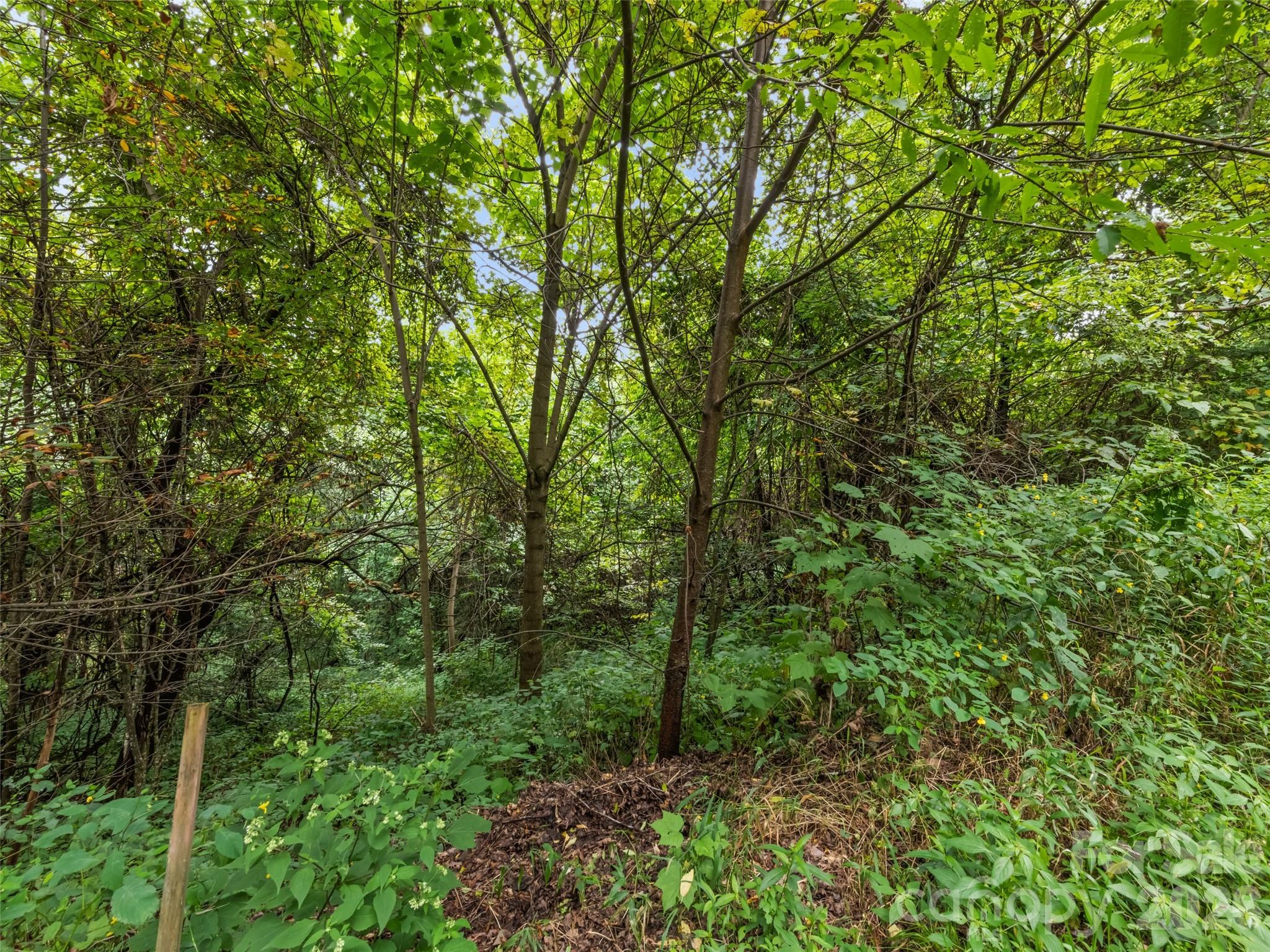 Apple Blossom Estates - Land