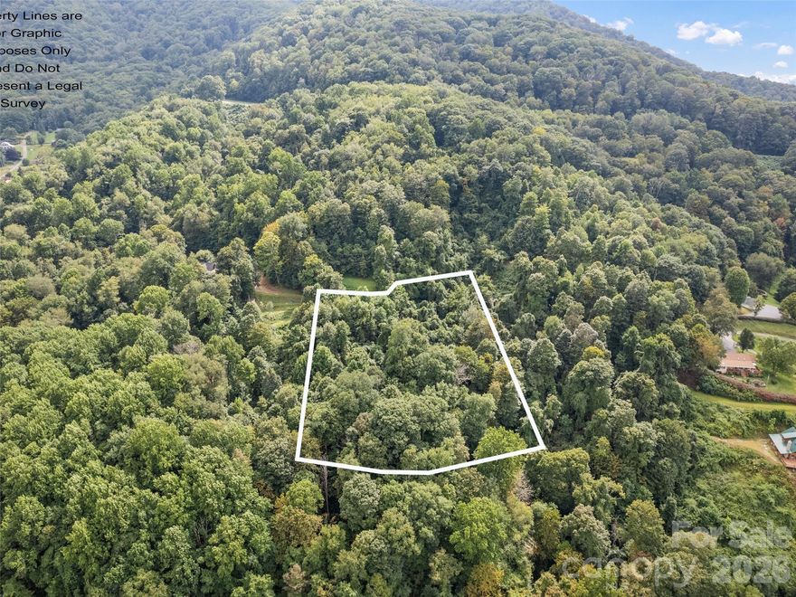 Large parcel located in the upper section of Apple Blossom Estates. 3700 ft plus elevation with paved road access. Minimal building restrictions. Located within minutes to Waynesville shopping / restaurants and the National parks. the property is wooded but has a previous driveway and House pad that is grown up with saplings. Long range 30 mile views toward the Eastern exposure. Bring your House plans for a cool summer house on Top of the World