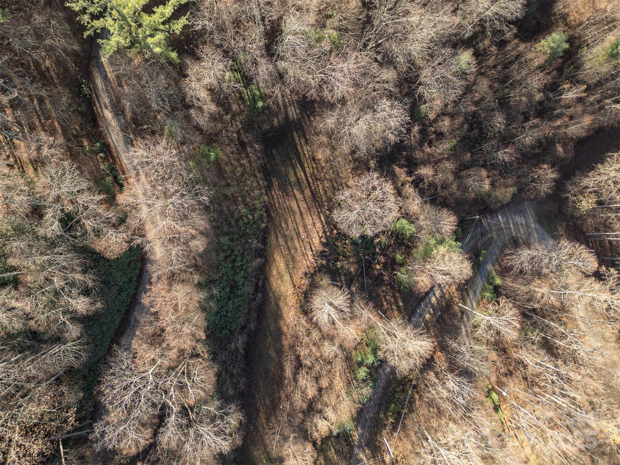 Panther Creek Estates - Land