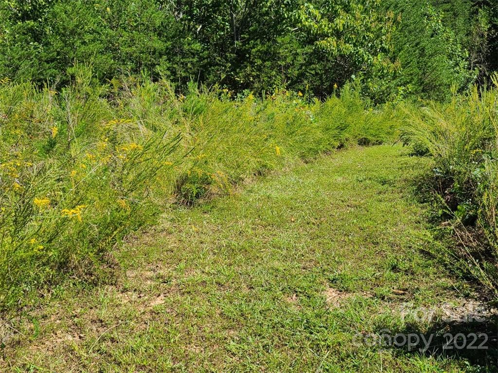 Vista At Bills Mountain - Land