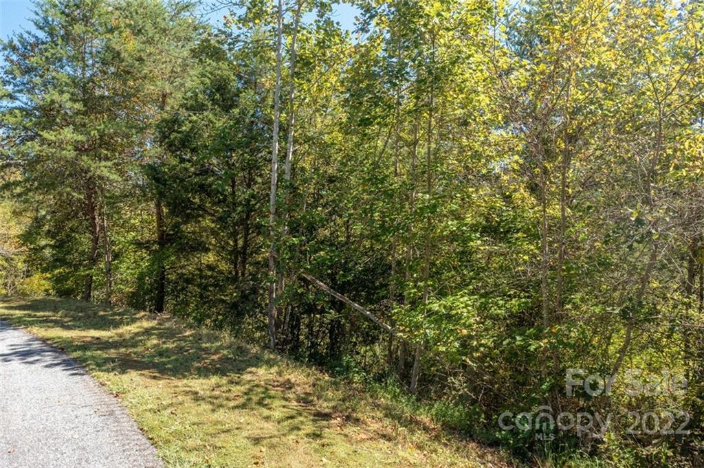 00 Rock Ledge Drive 305