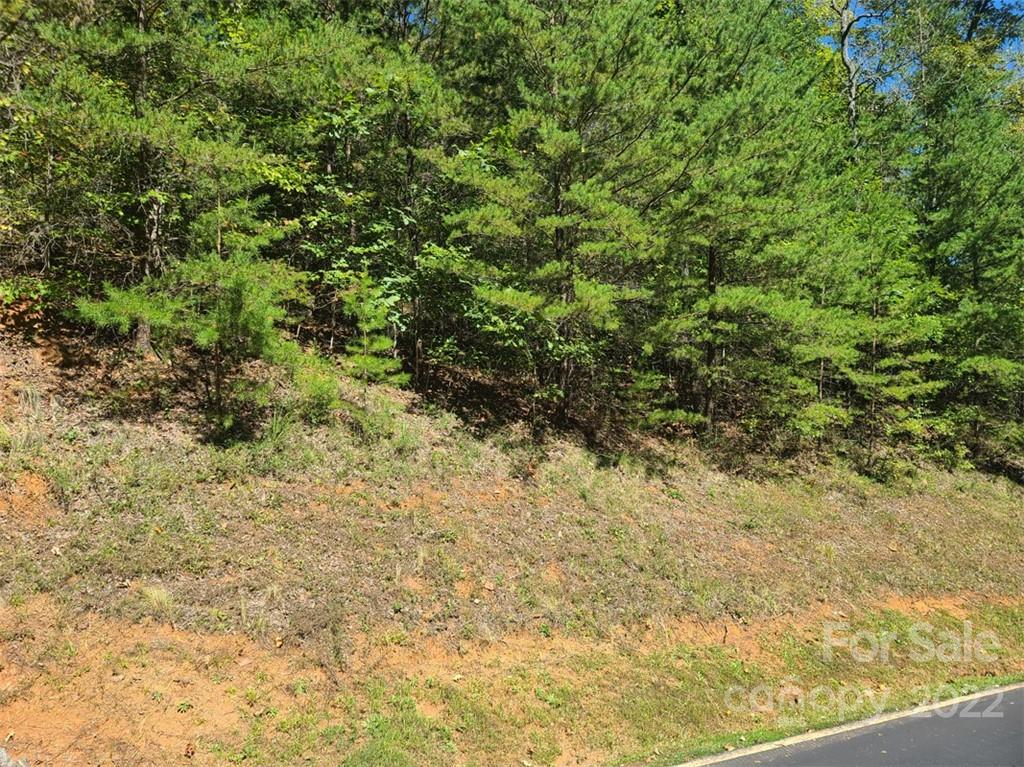 Vista At Bills Mountain - Land