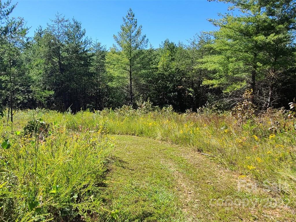 Vista At Bills Mountain - Land