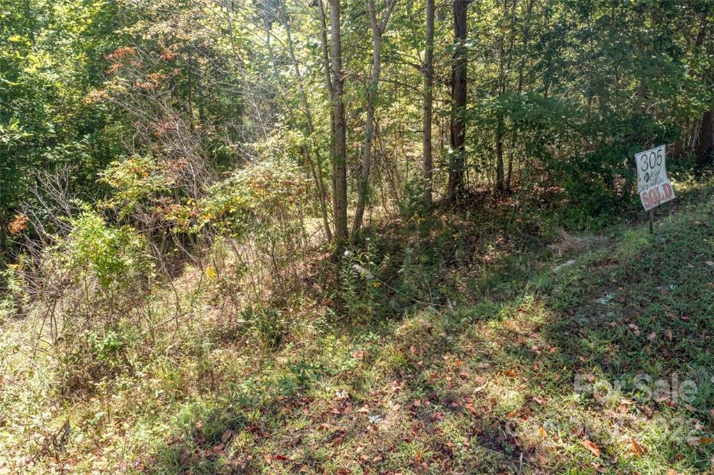 Vista At Bills Mountain - Land