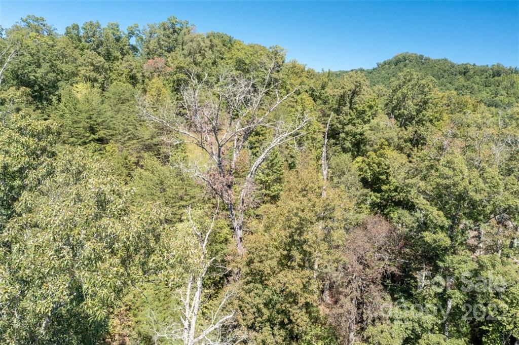 Vista At Bills Mountain - Land