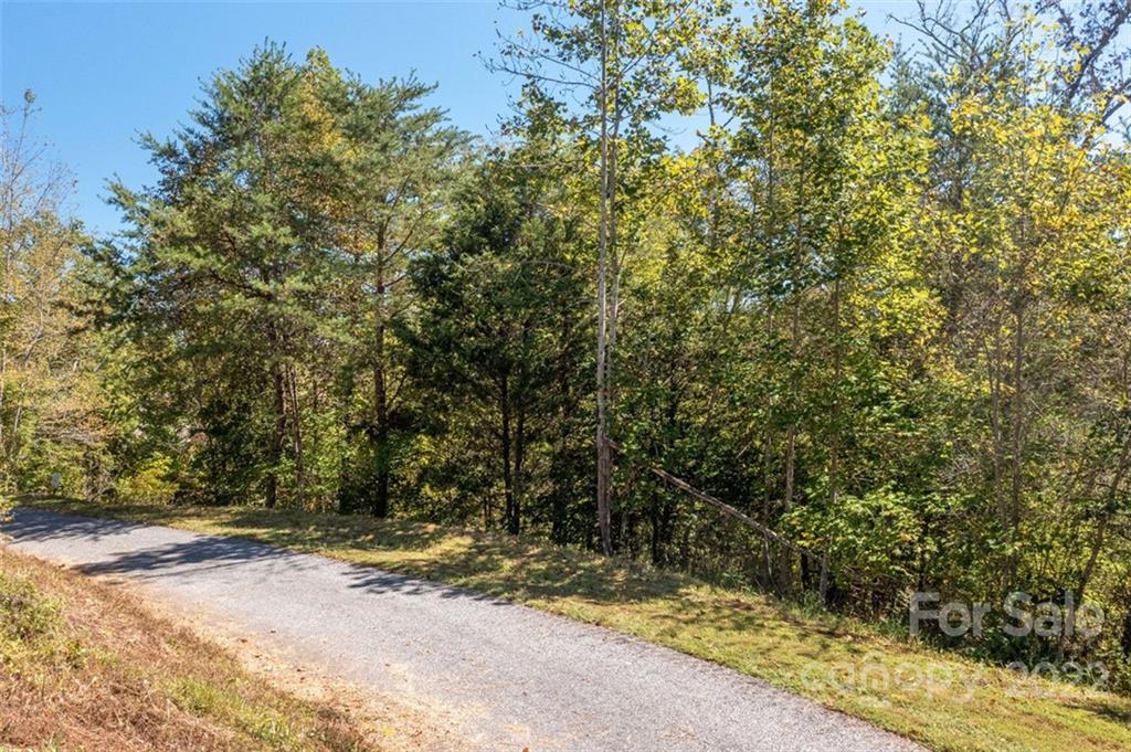 Vista At Bills Mountain - Land