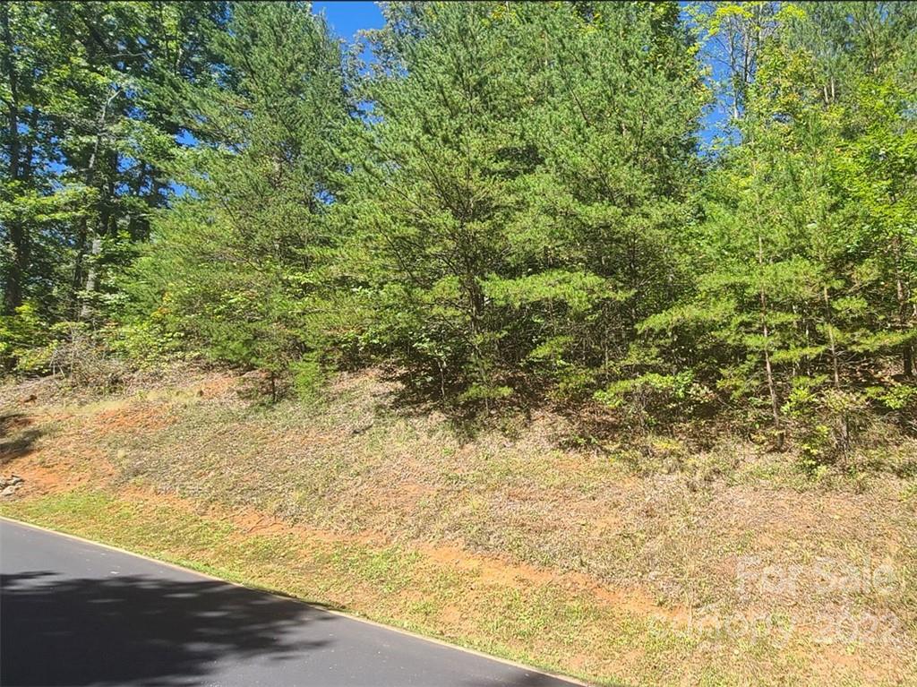 Vista At Bills Mountain - Land