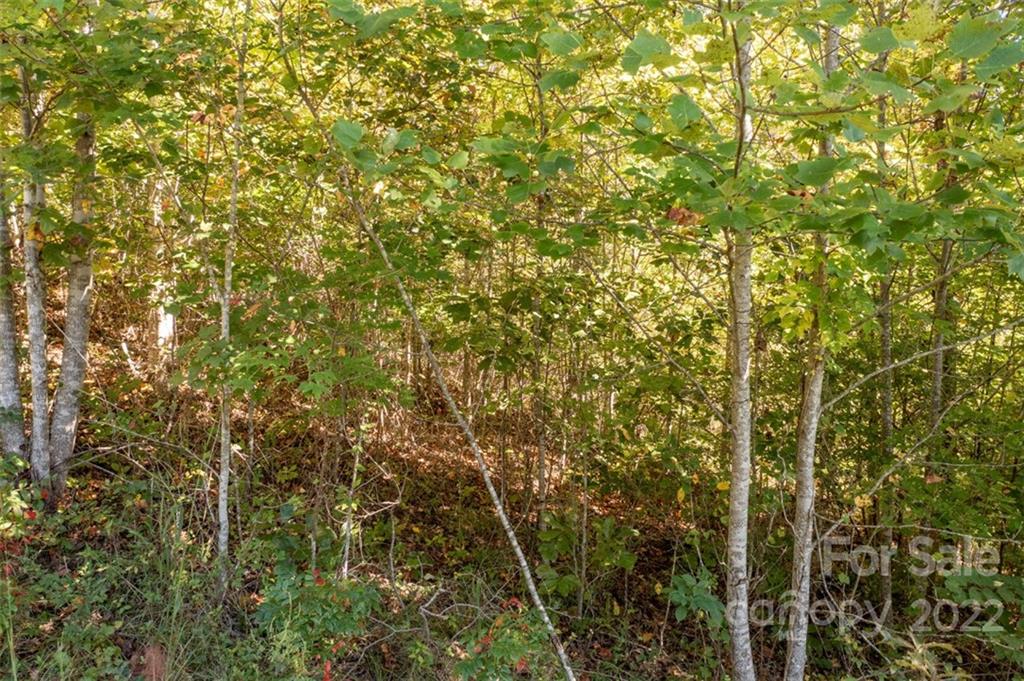 Vista At Bills Mountain - Land