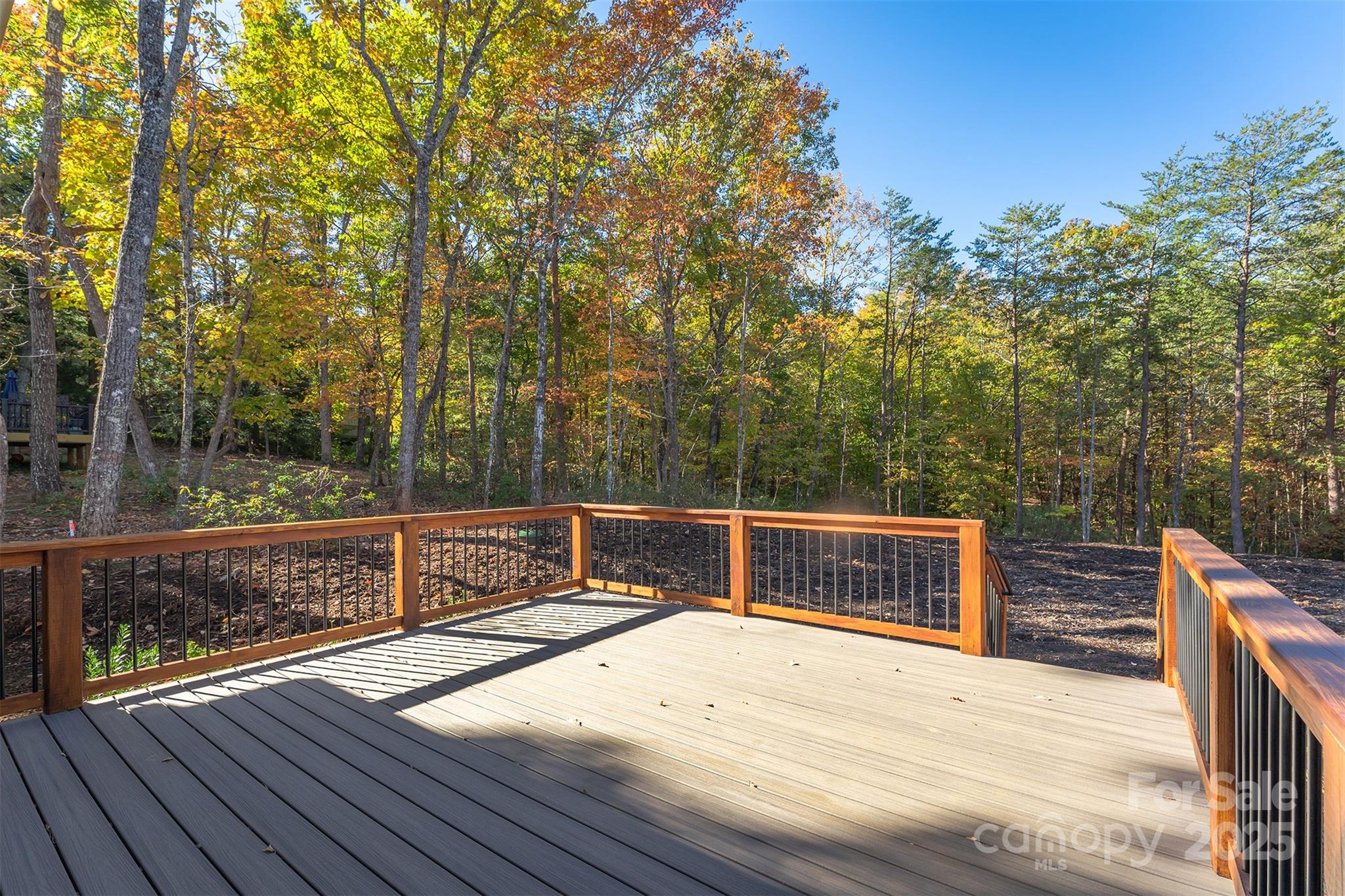Rumbling Bald on Lake Lure - Residential