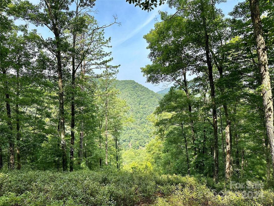 Are you looking for your personal sanctuary? This stunning, private location will not disappoint! With a slight river view & long-range views, you can build your safe-haven in the amazing conservation community of French Broad Crossing! Located in WNC, this peaceful site will enable you to enjoy nature's beauty & take in the fresh air. The slope of this property is so slight & offers a lovely easy-build homesite set in the woods, but with views!. French Broad Crossing is a gated community with easy access to Asheville & amenities galore! Enjoy the River Lodge, Fitness Center, Pool, Hot Tub, River Park, Pavilions, & miles of walking/ATV trails! Relax & watch the sunset from the River Lodge, gather with family & friends by the fire, participate in social activities, or absorb nature on the trails. This is THE place to check out of the daily hustle & bustle & take a deep breath! The serenity & peacefulness of the community is profound. Fiber Optic cable has been wired throughout the neighborhood. FBC has a designated medical helicopter landing zone.