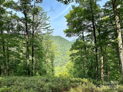 151 Wild Turkey Loop 29 Marshall NC 28753