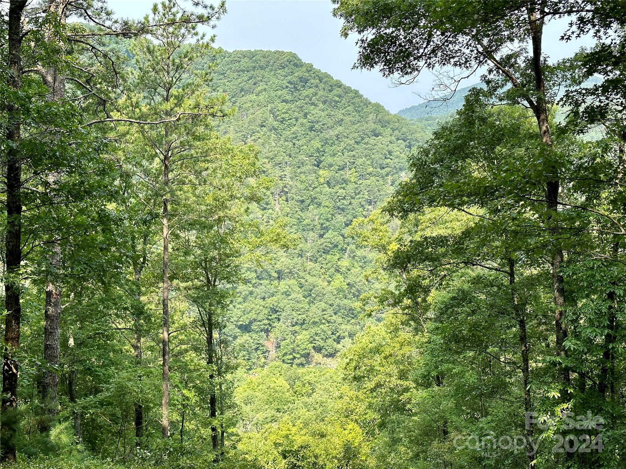 151 Wild Turkey Loop 29