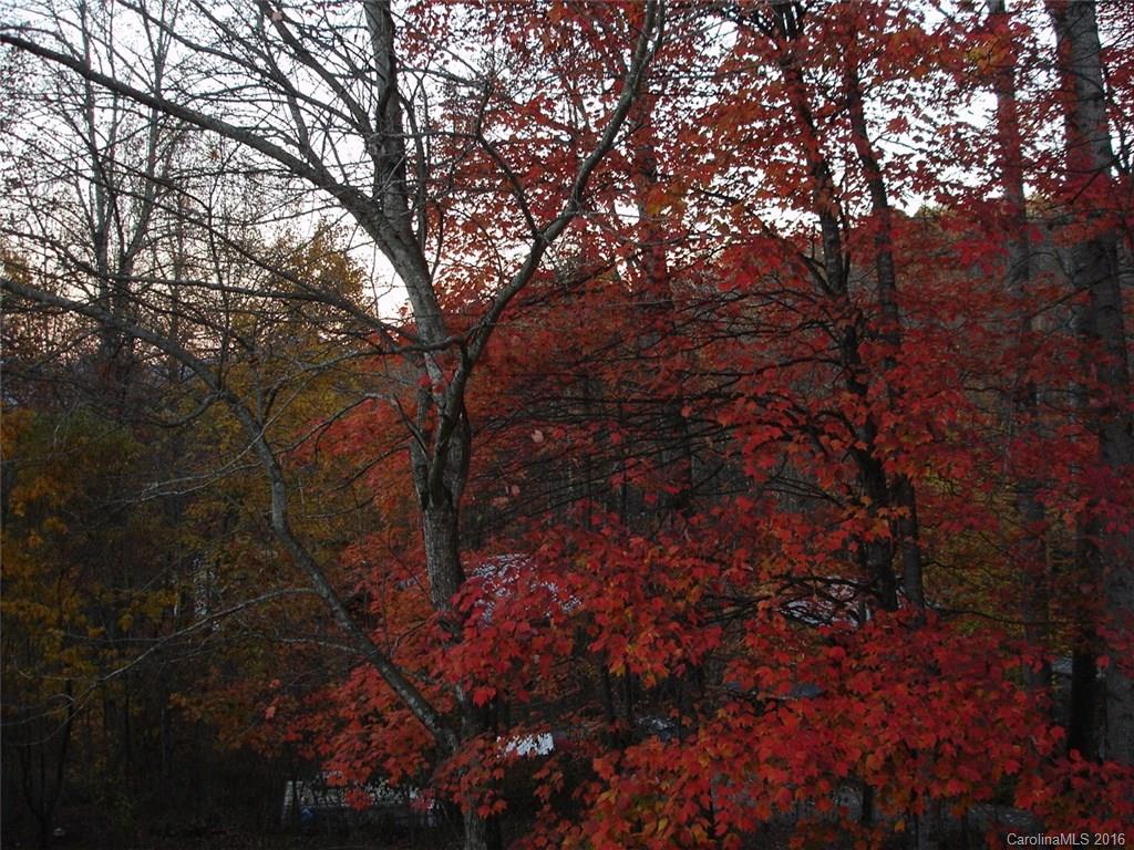 Mountain Lake Forest - Residential