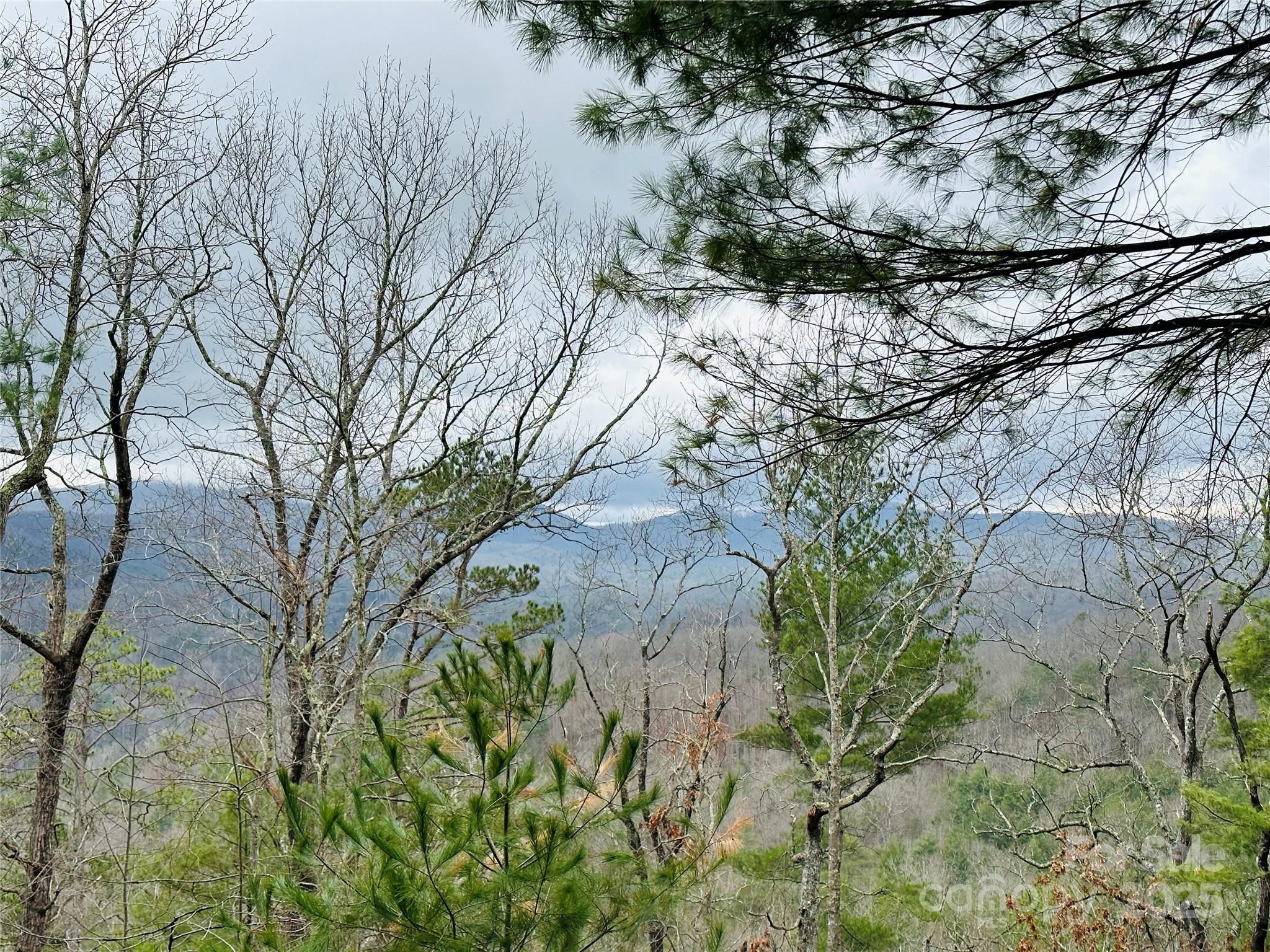 109 Longview Court 6