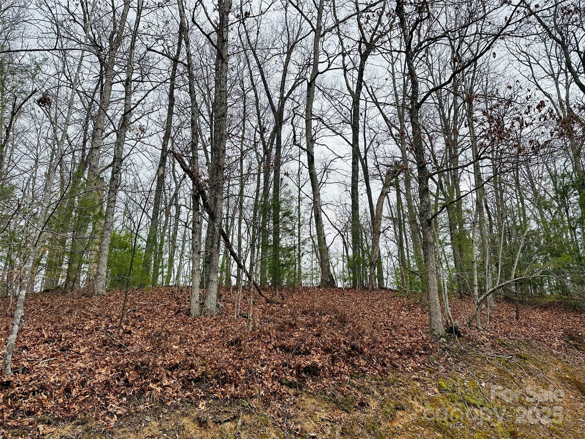 French Broad Crossing - Land