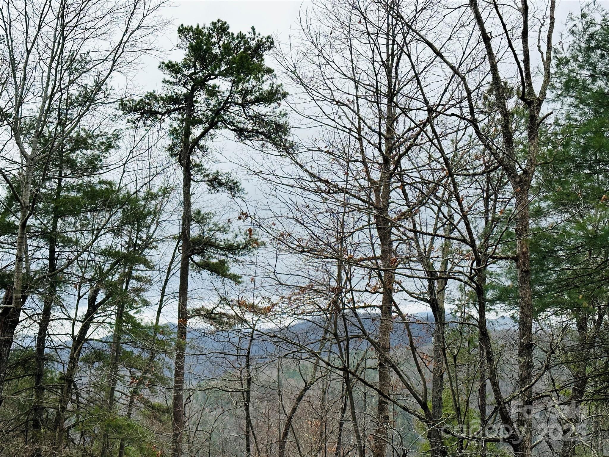 109 Longview Court 6