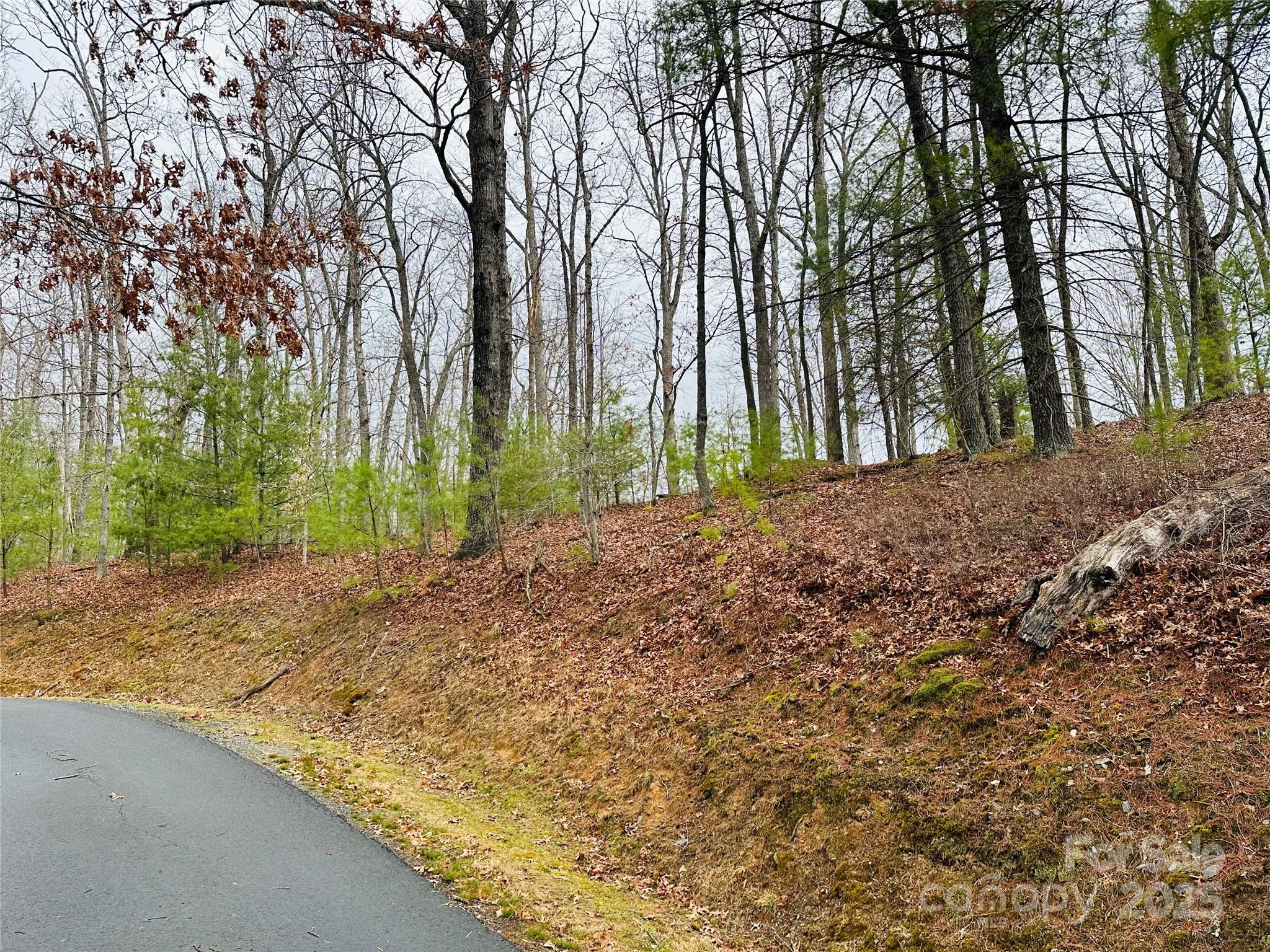 109 Longview Court 6