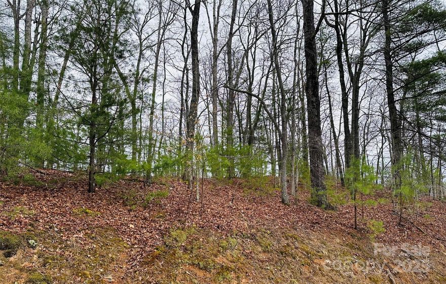 Welcome to your 2.37 acres of paradise nestled in the woods. With long-range mountain and sunset views, this location will be the perfect way to unwind at the end of the day! With a level and easy build site, your home opportunities are endless. Relax and take in the fresh mountain air with these views that are sure to please! If you're looking to build your dream mountain home or vacation getaway, look no further. French Broad Crossing is a gated conservation community with easy access to Asheville and amenities galore! Enjoy the River Lodge, Fitness Center, Pool, River Park, Treehouse, and miles of walking/ATV trails! Relax and watch the sunset from the River Lodge, gather with family and friends by the fire, or just absorb nature on the trails. This is THE place to check out of the daily hustle and bustle and take a deep breath! In addition to the amazing amenities, there are also frequently scheduled social events. Fiber Optic is wired throughout the neighborhood! FBC has a designated medical helicopter landing zone.