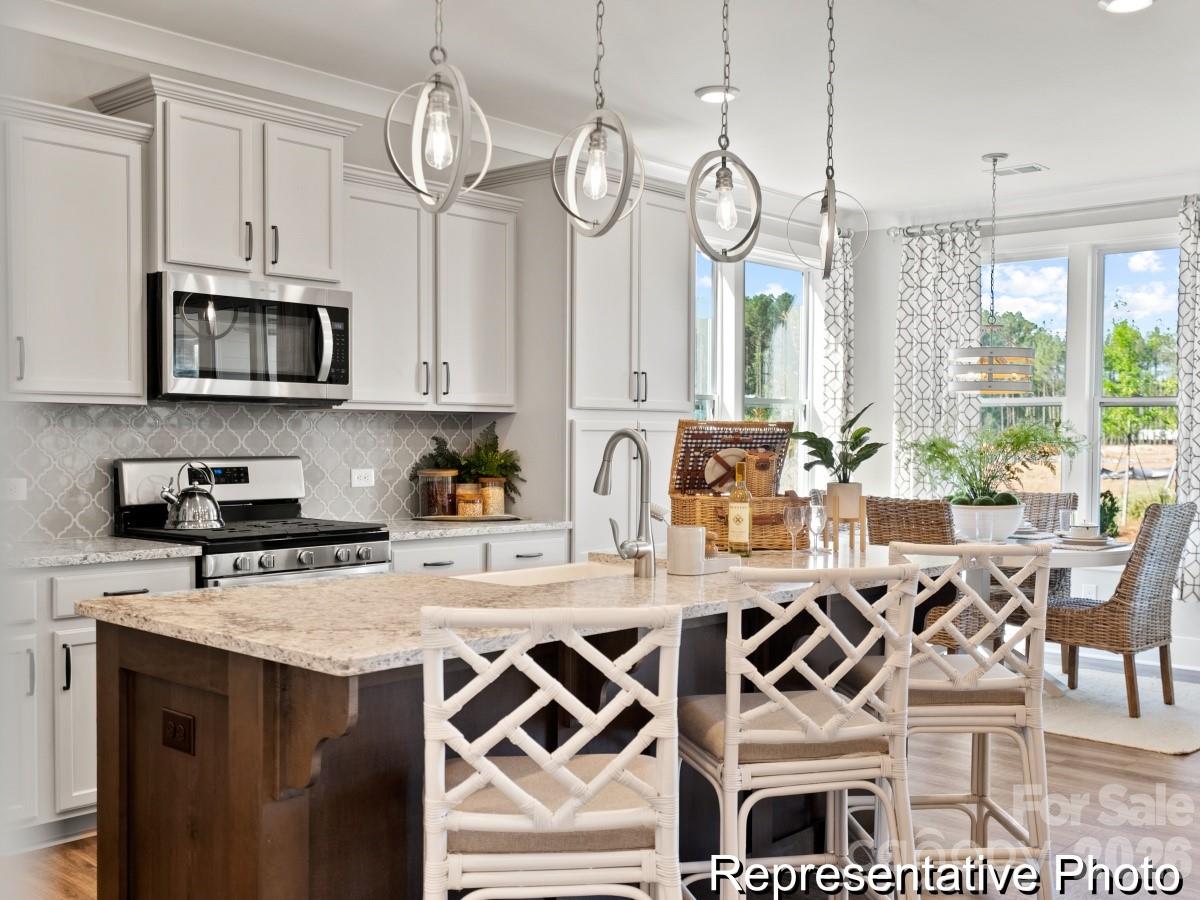 1861 Climbing Rose Court 18