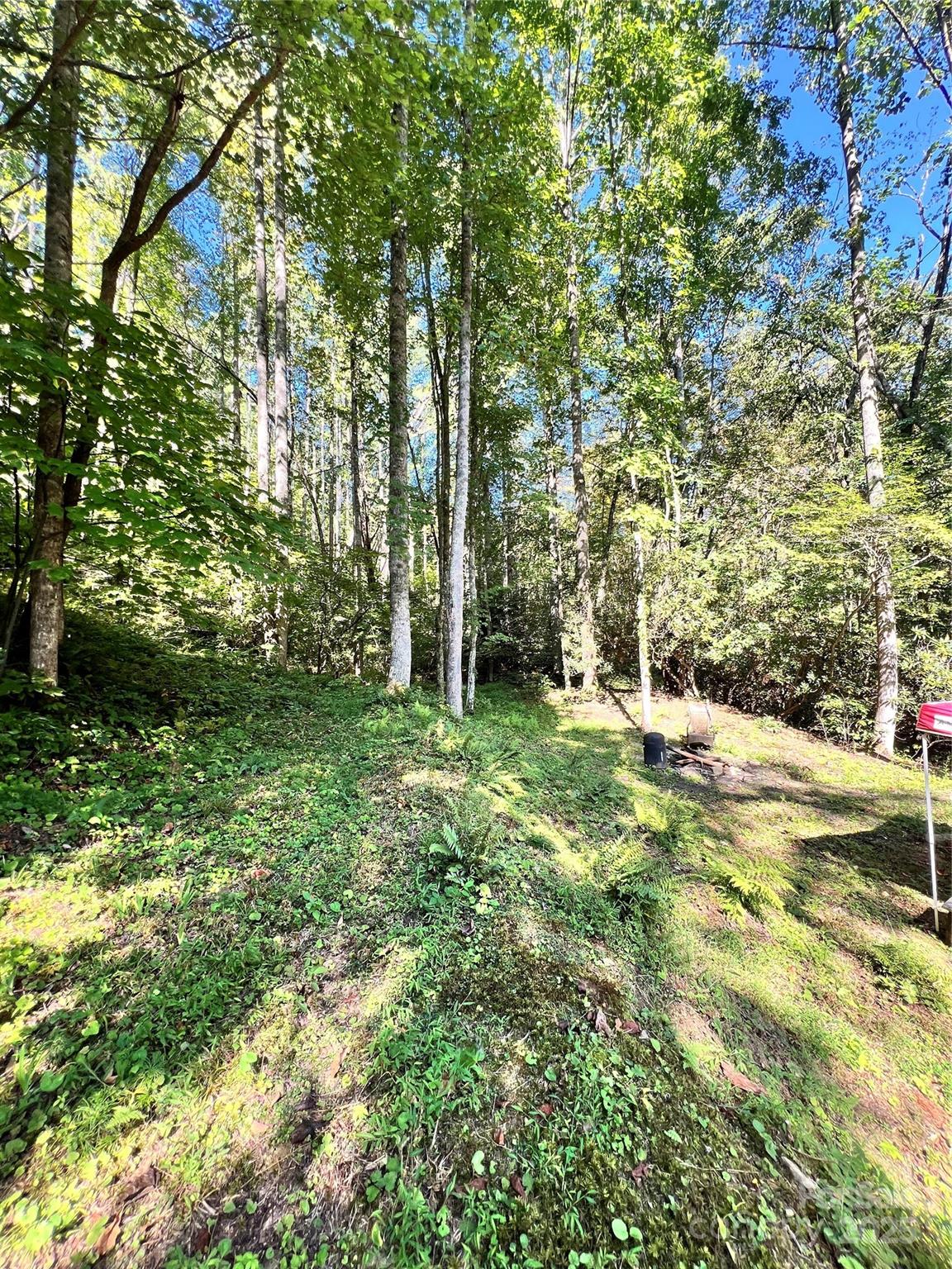 00 Battle Branch Road