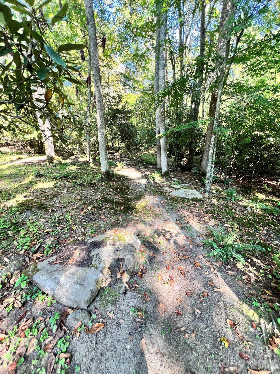 00 Battle Branch Road