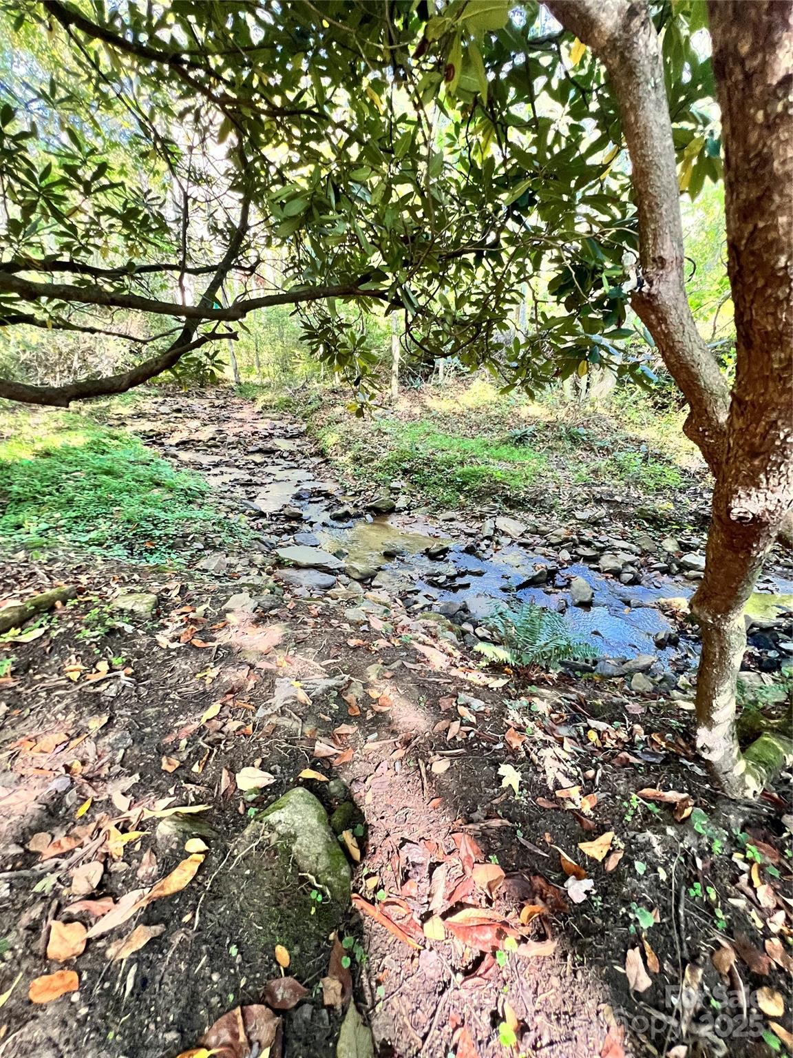 00 Battle Branch Road