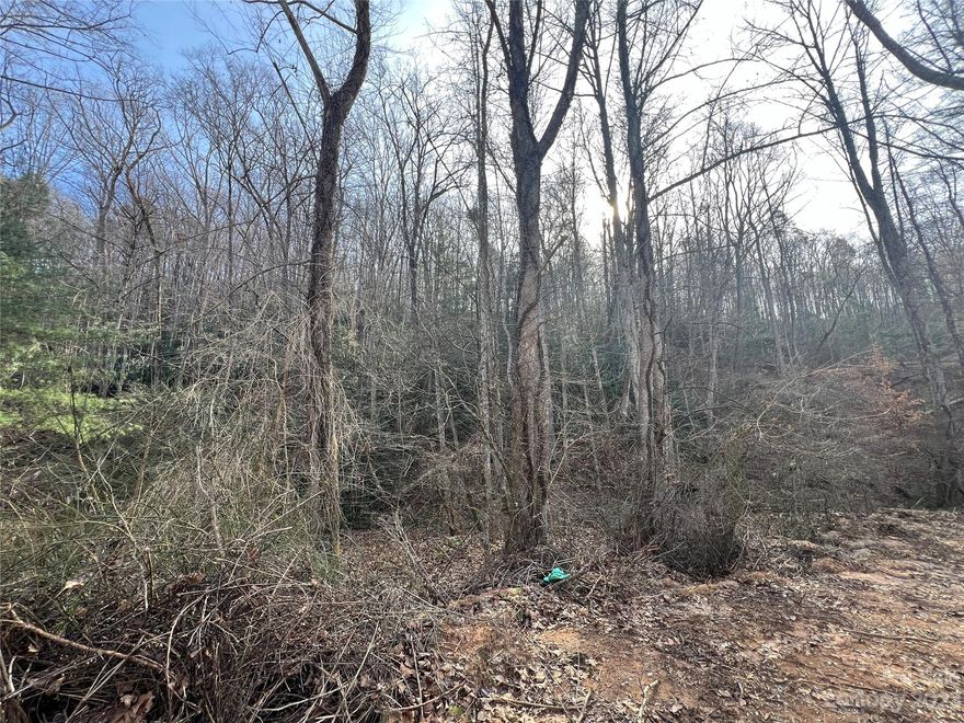 Price Reduction!!! Wooded lot in Old Fort with quiet setting. A small stream for you to enjoy. Manufactured and tiny homes are allowed on Lot 19. Less than 10 minutes to the town of Old Fort. You don't want to miss this lot.