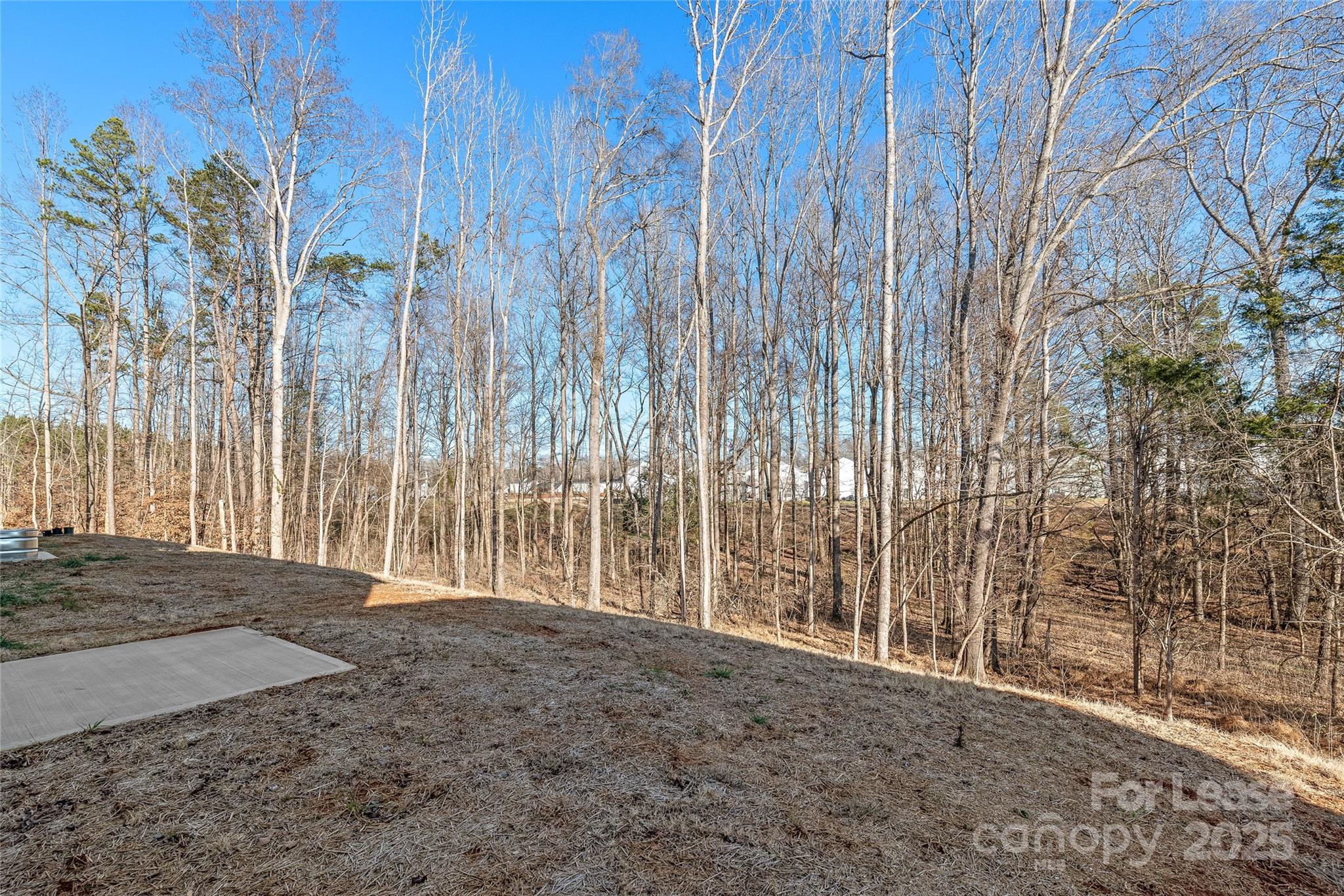 Stoneygreen - Residential Lease