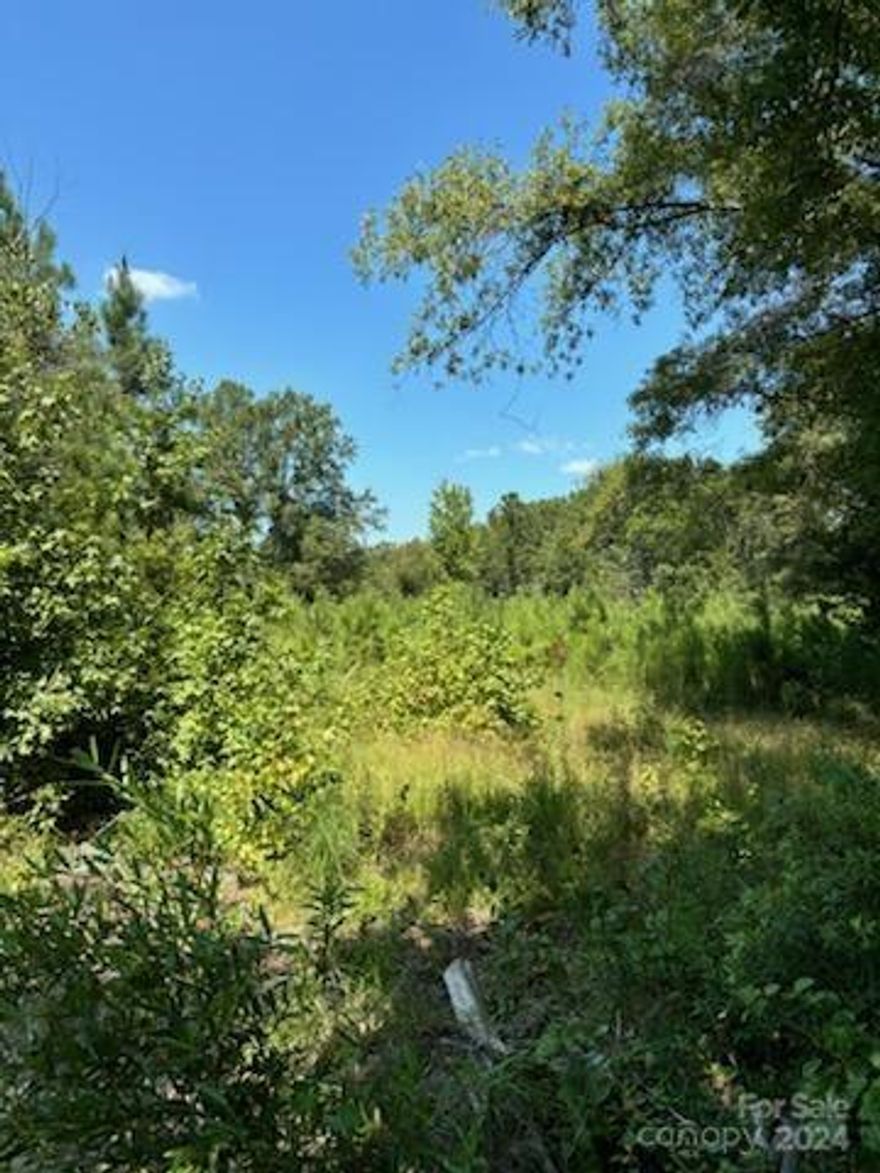 Looking for privacy, this is it, 5.86 acres off Lynwood Dr, mobile homes are allowed, needs well and  septic, private driveway with 15 foot right of way to land. Please do not try to visit without a realtor, the drive way does not extend to the land.