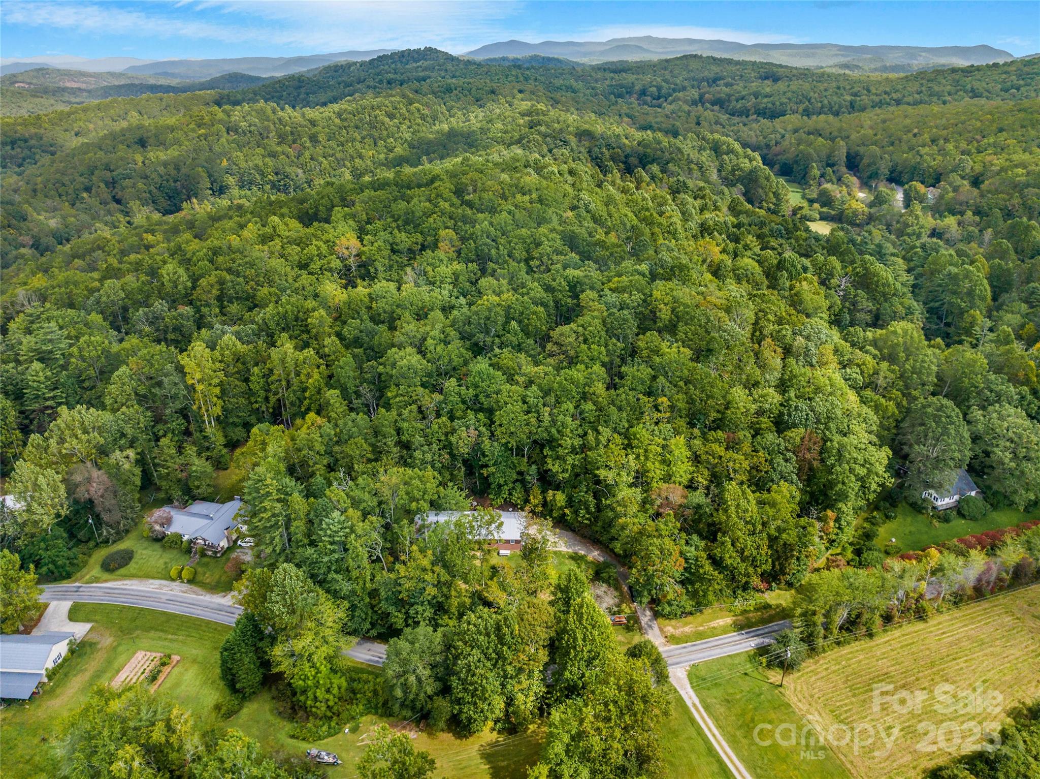 679 Solomon Jones Road