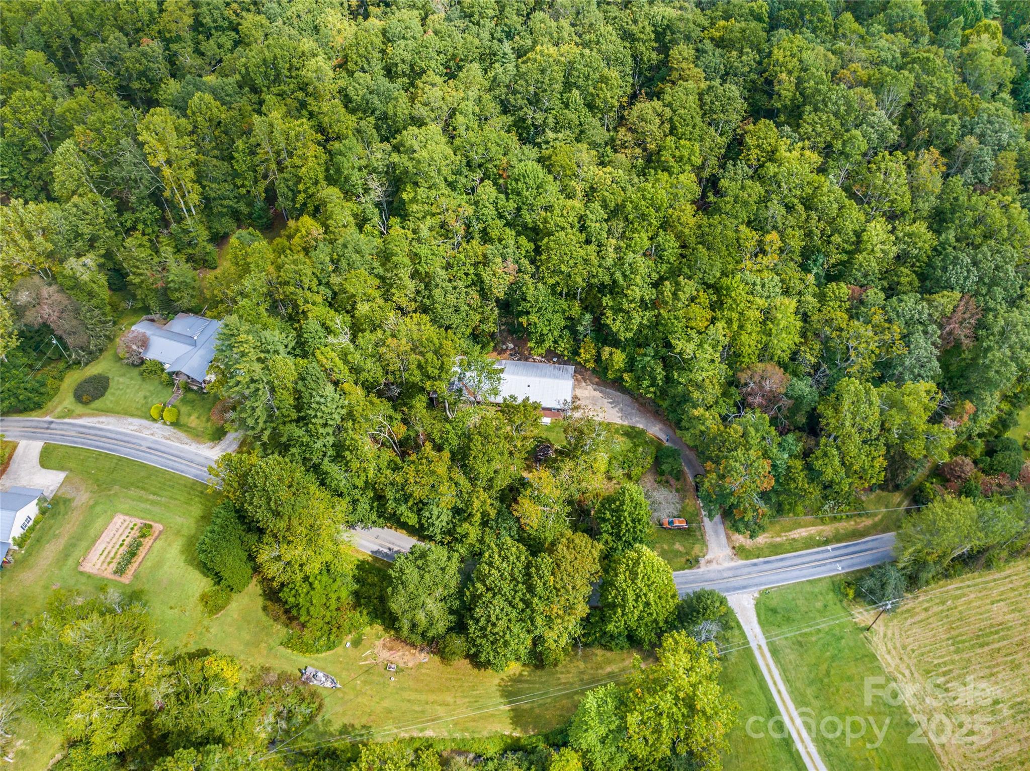 679 Solomon Jones Road