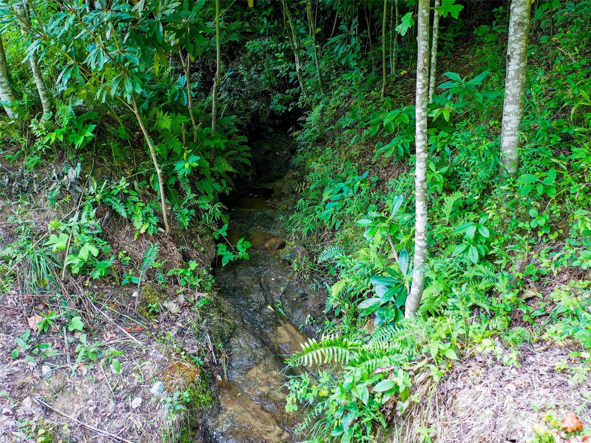 Cobblestone Village - Land