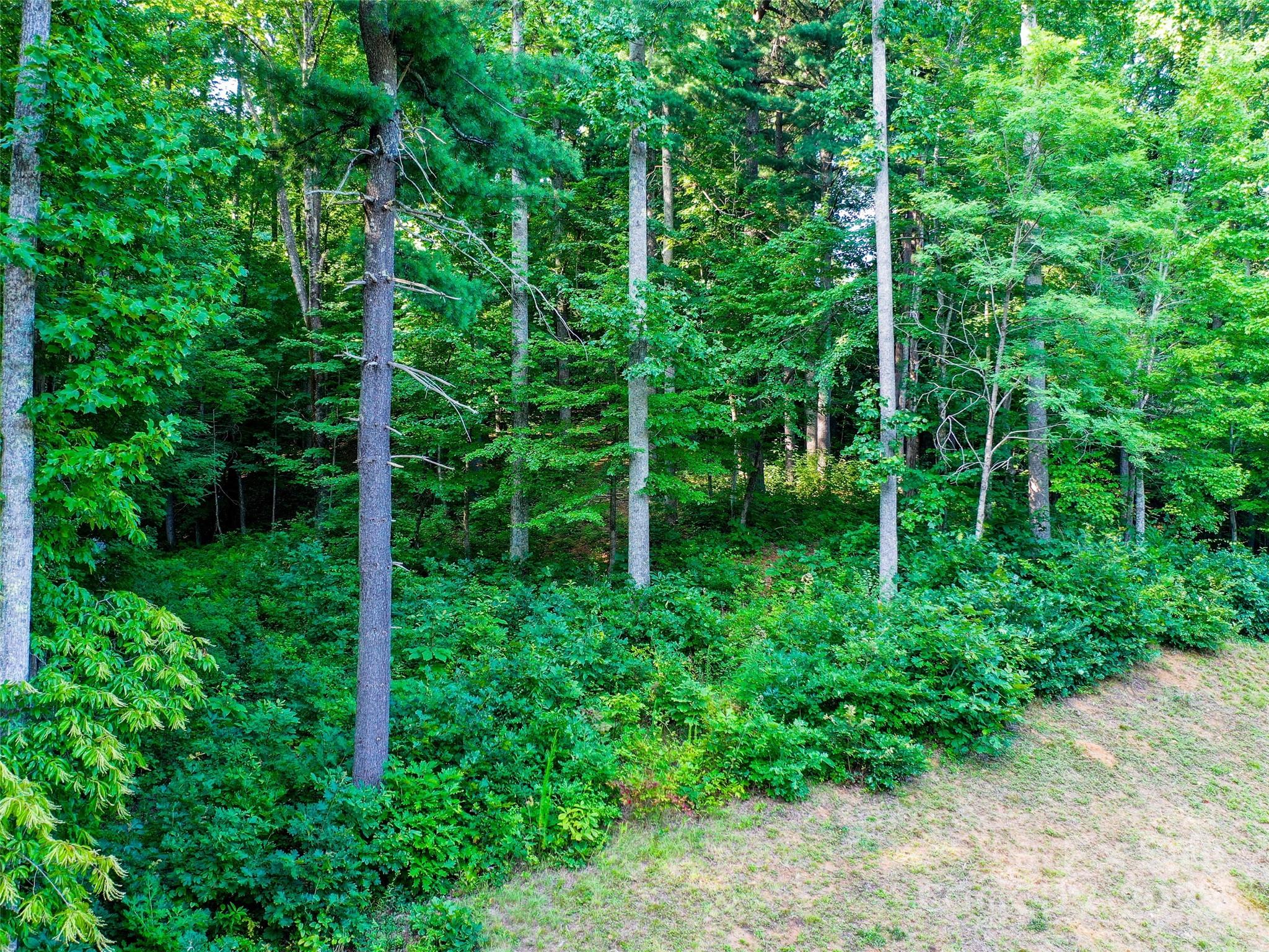 0 Freedom Trail Court