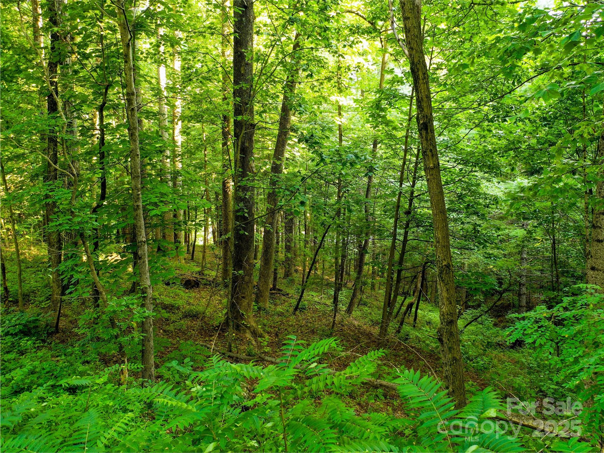 Cobblestone Village - Land