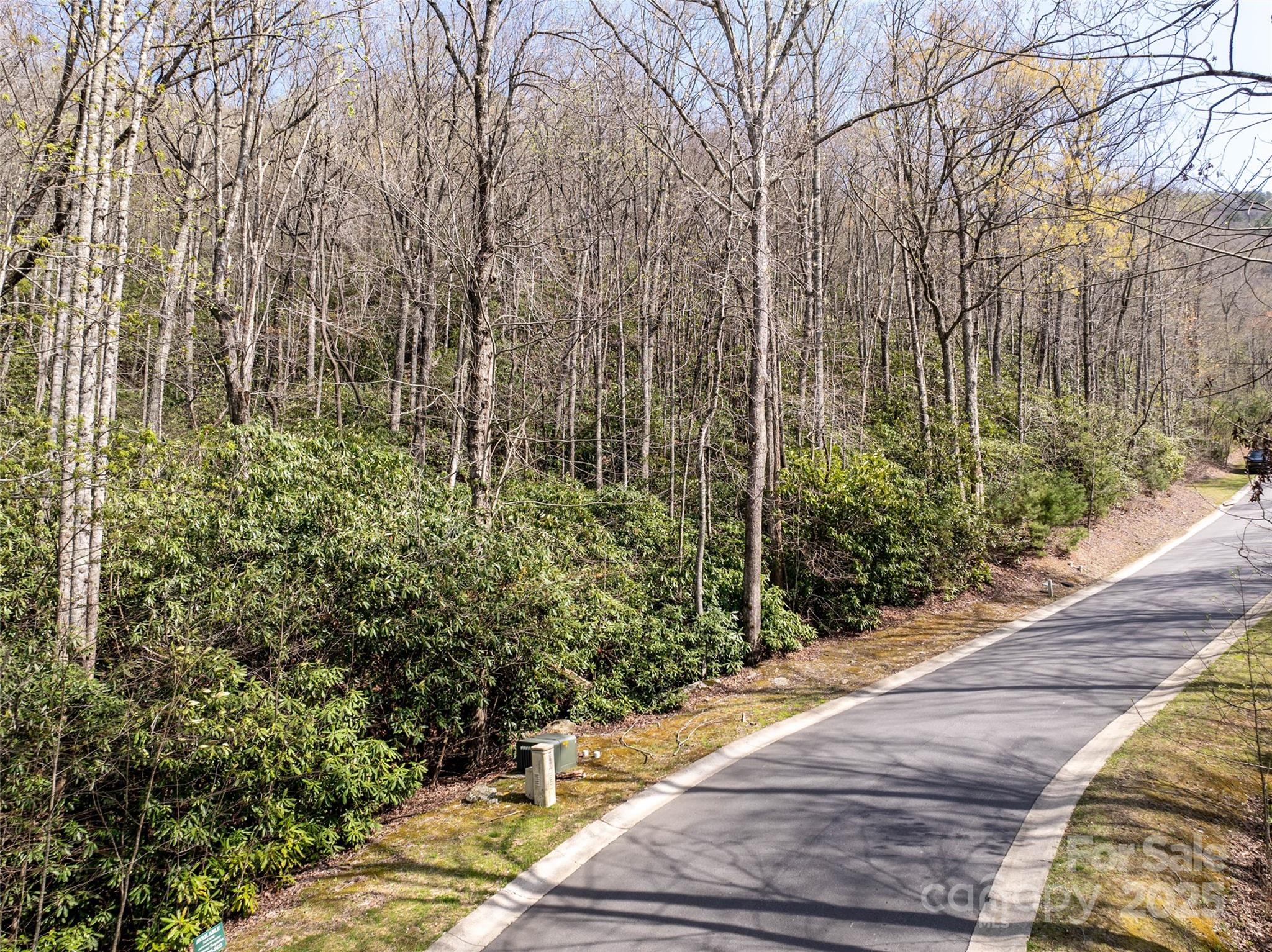 The Settings Of Black Mountain - Land