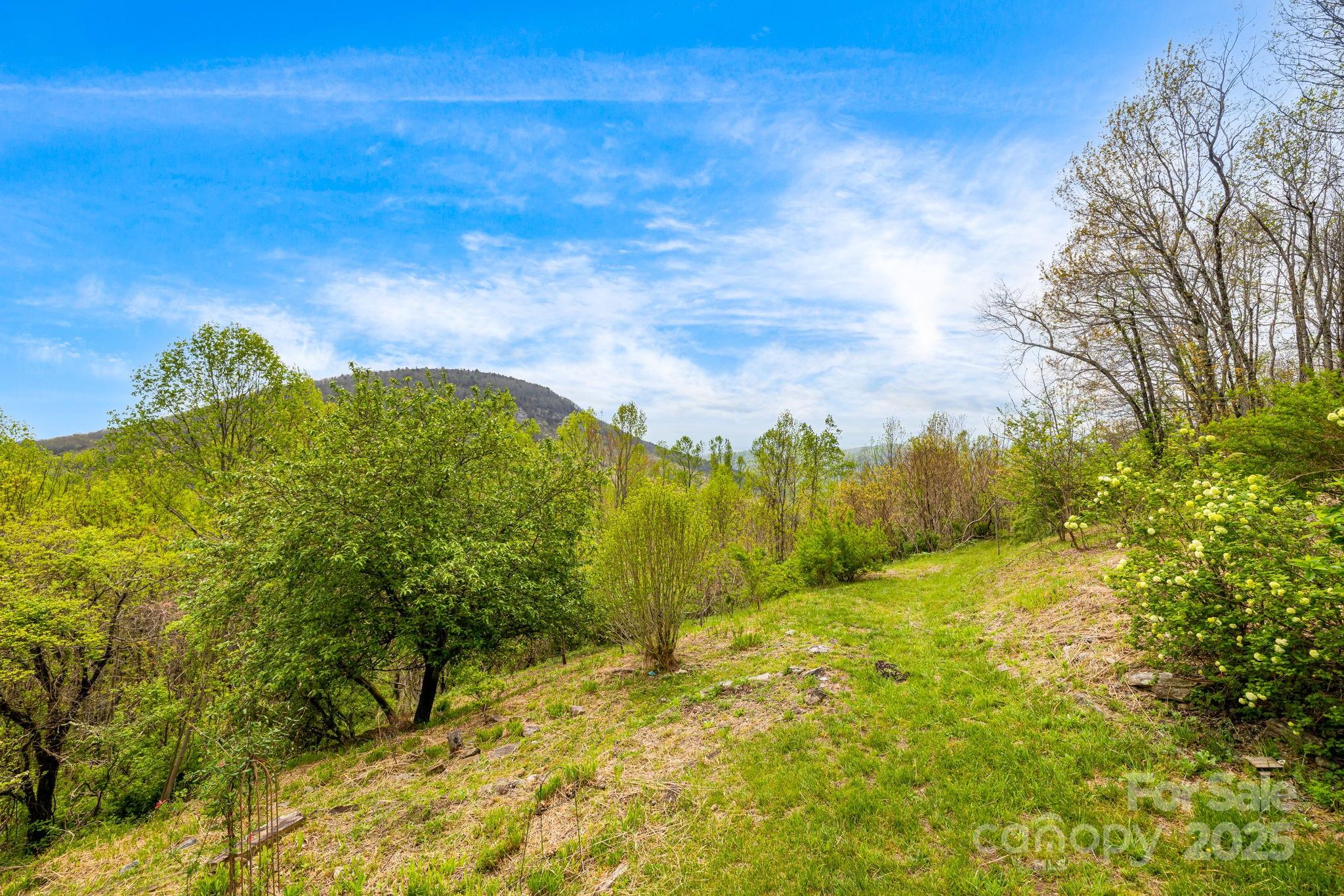 736 Banks Mountain Drive