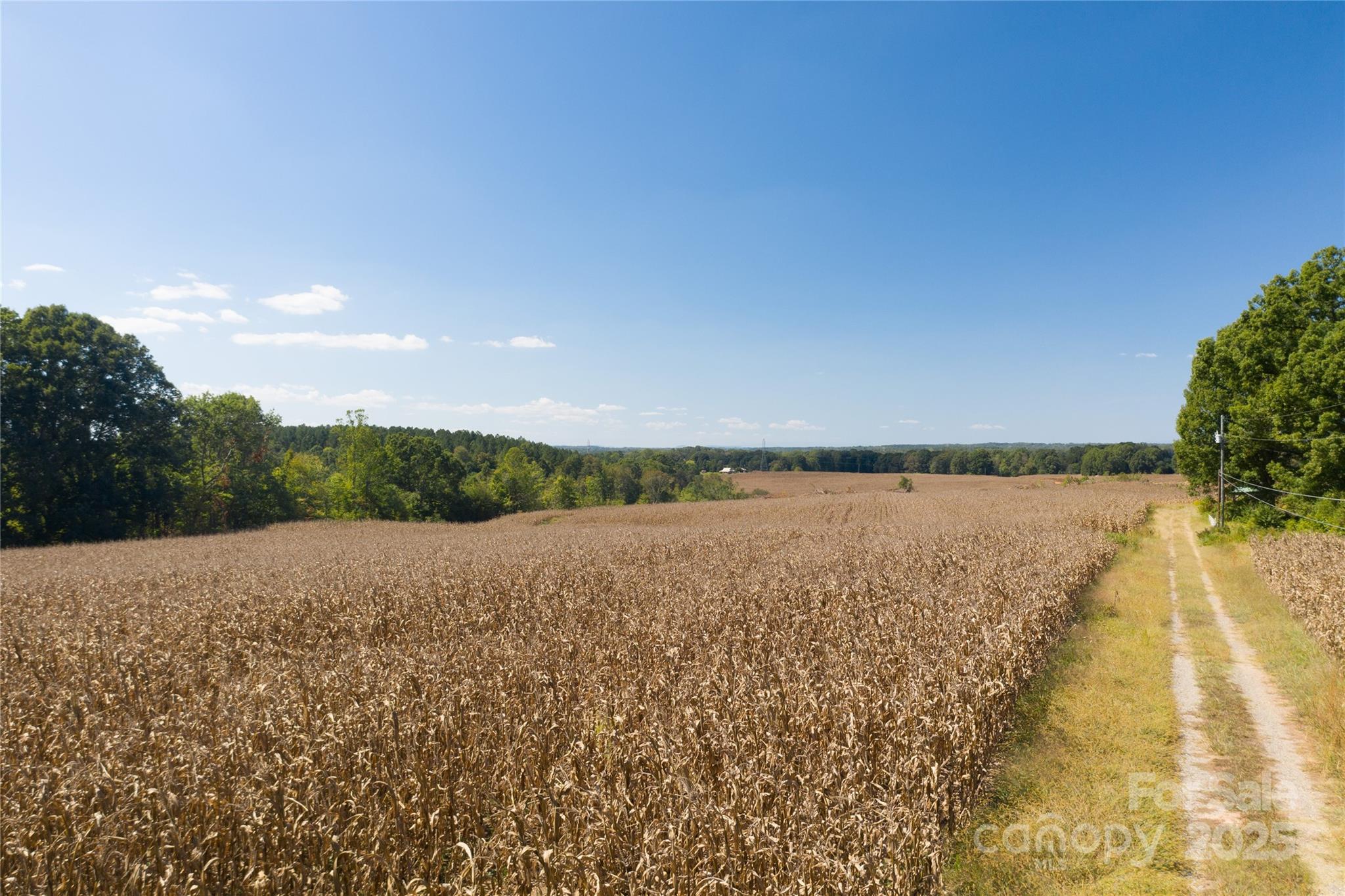 0 Carriage Road
