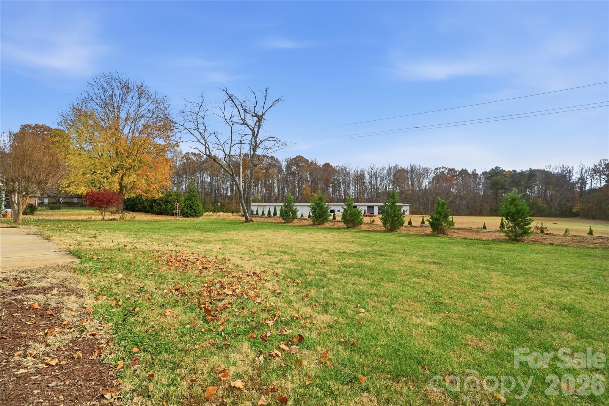 Cameron Heights - Residential