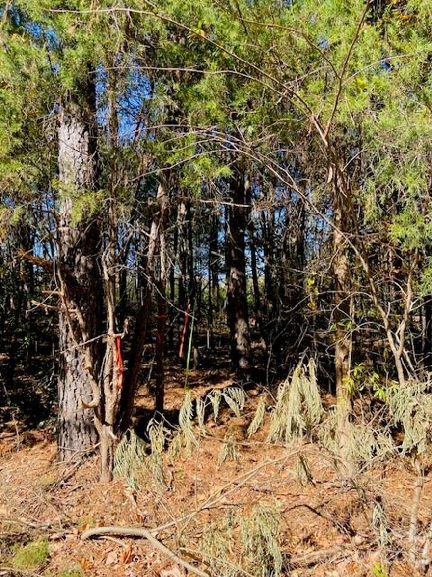 Only 1 mile from Hwy 521 makes this a perfect place for your dream home.  Hwy 521 is the corridor into Ballantyne and Charlotte.  The lot is in the Town of Van Wyck and close to other luxury homes and high-end developments which makes it the perfect place for your custom built home.  W. North Corner Rd has gas, water, and fiber optic internet in place. Lot B is directly next to this one and is 1.34 AC and is also for sale (MLS #4085127).