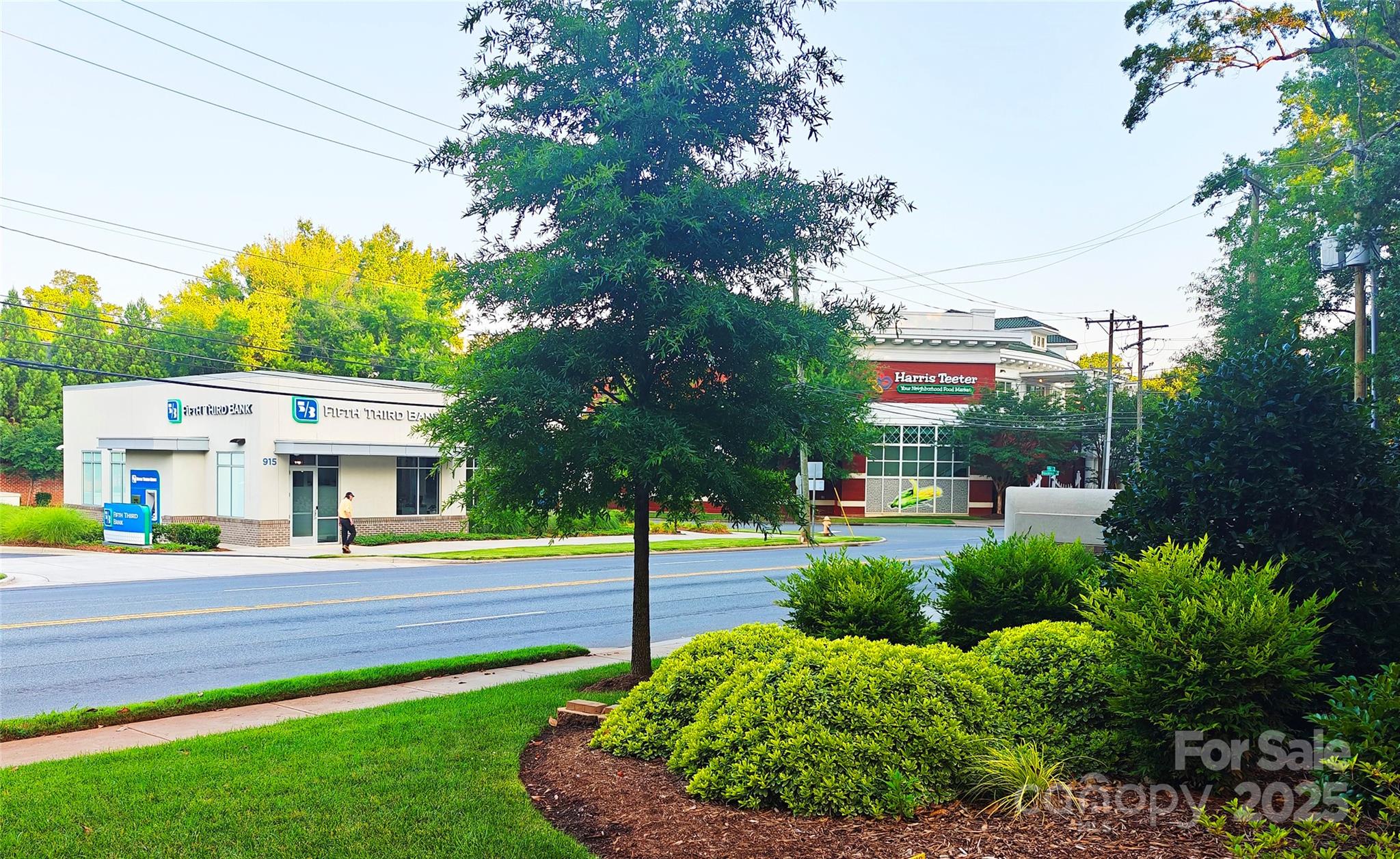 Myers Park - Residential