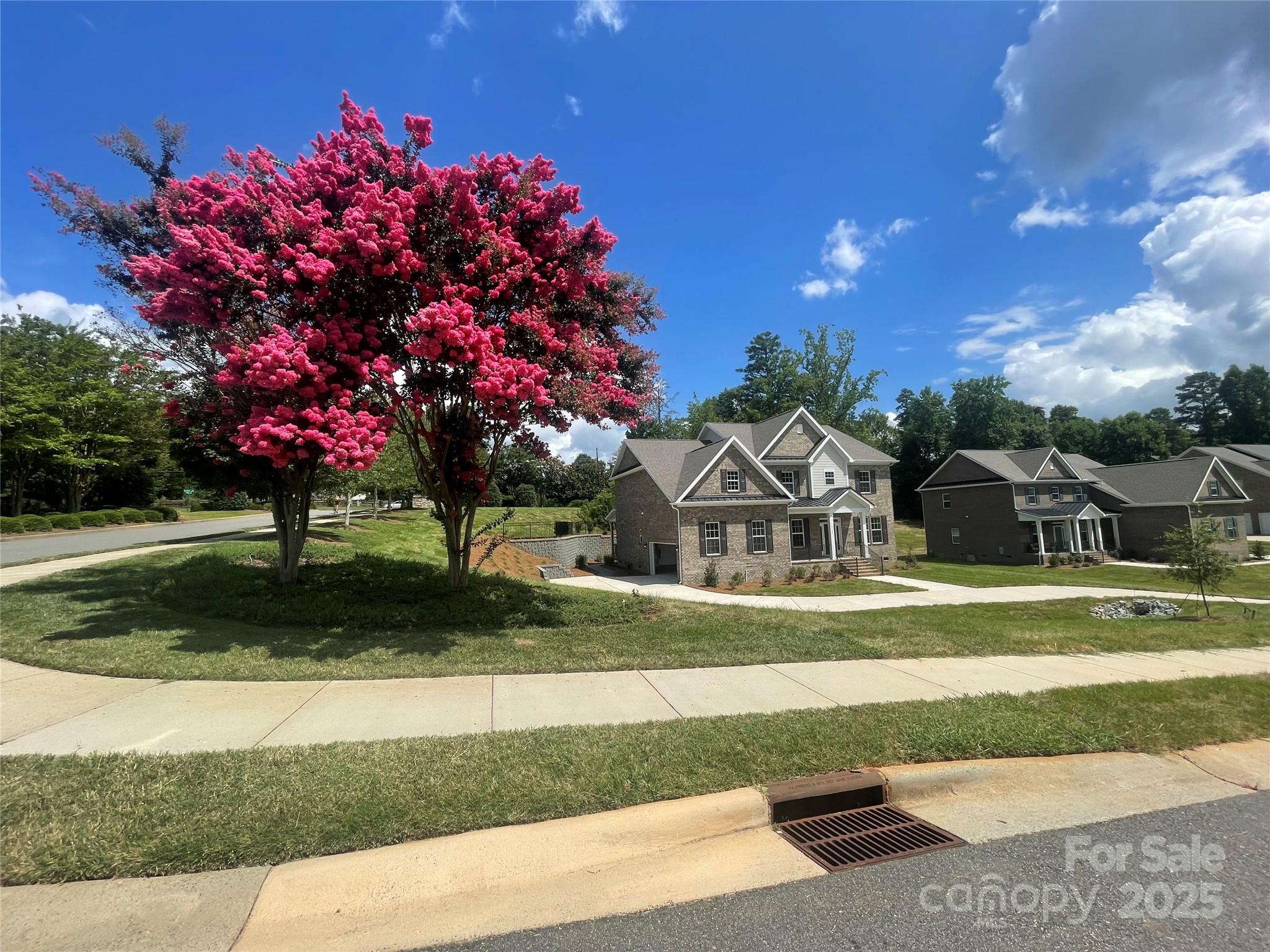 8605 Carly Lane