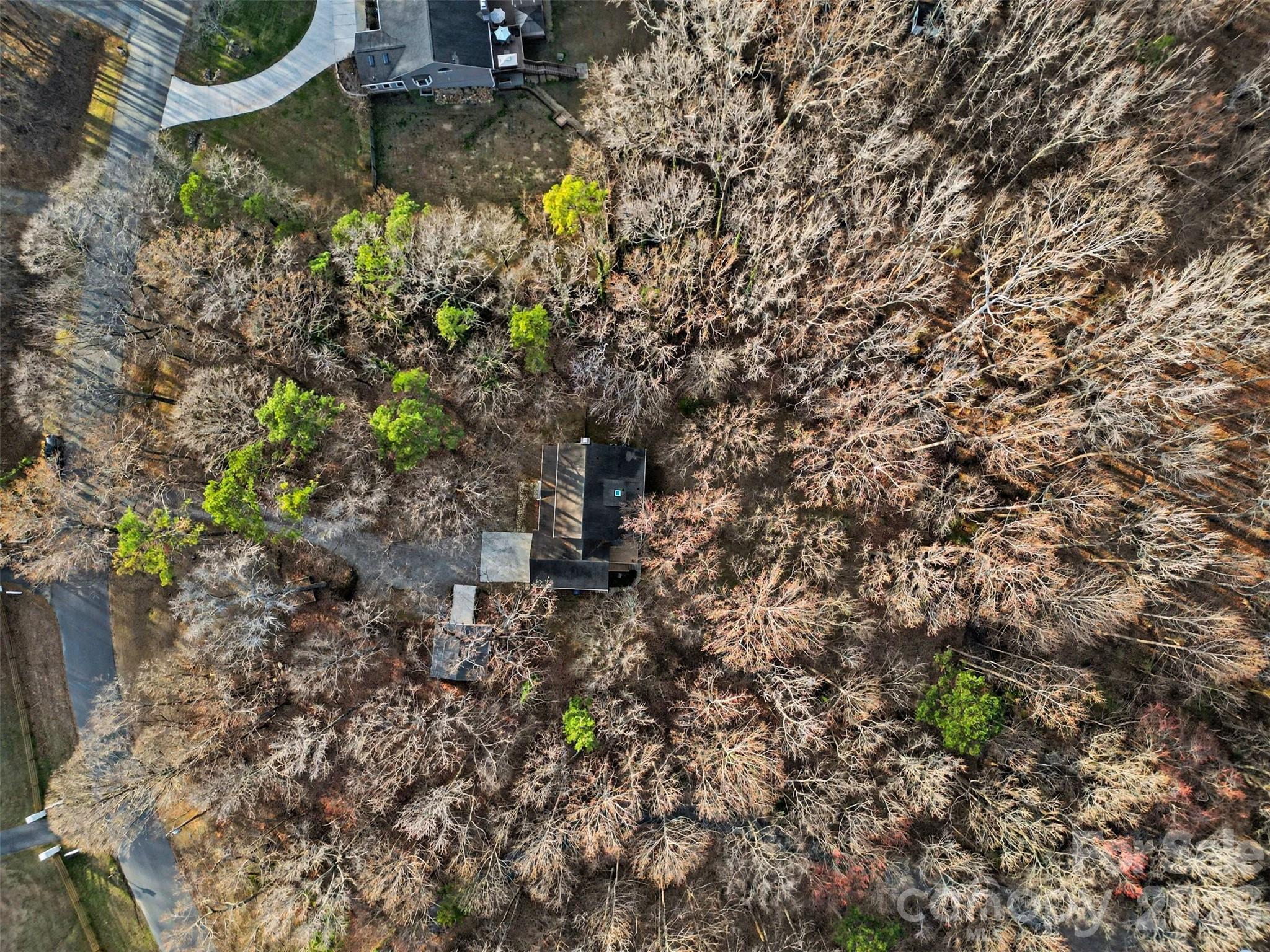 Woodland Forest - Residential