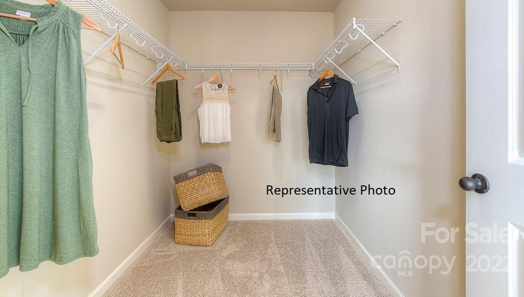 Avondale - Residential