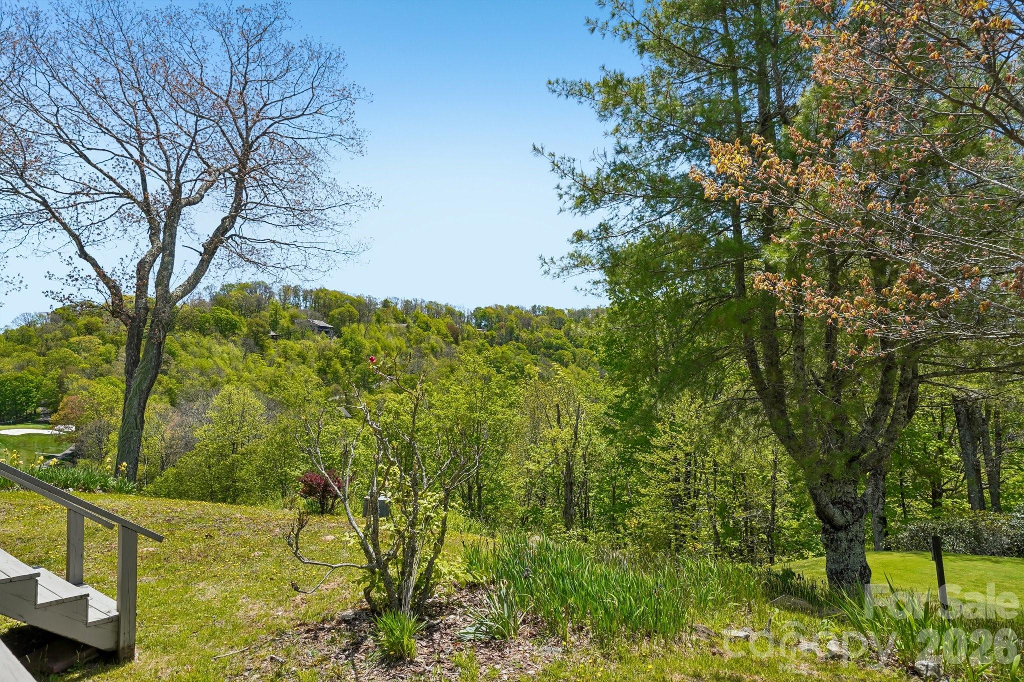 Wolf Laurel - Residential