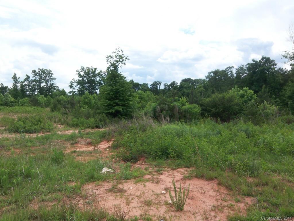 Pineville Road Estates - Land