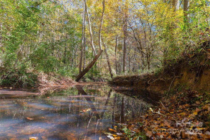 Amazing opportunity for a Large 44.47 acre homestead and/or hunting & recreational property! Enjoy the long range views and the great outdoors! If you are looking for a tranquil homestead tucked back in the woods, this is the piece of land for you! With mature pine and hardwoods throughout, this property is aesthetically pleasing and enjoyable. Pine production in the front with beautiful rolling creek and hardwoods in the back. There are trails maintained through the property for hiking and trail riding access. The trails lead to hunting stands. Conveniently located in Chester County; about 10 min away from I-77 for easy travel; About 45 minutes away from Charlotte and very close to Fort Mill, Rock Hill, and York. The uses of this land are endless; Pursue building your dream home, use this land for homestead, agricultural uses, micro-farming, recreational activities, and definitely hunting. Little Rocky Creek has flowing water throughout the back section of the property. This property is abundant in wildlife;  Tons of deer, turkey, and other small game. There are electrical utilities available at the road. There are storage containers on the property for equipment and camping. There are also multiple hunting stands on the property.