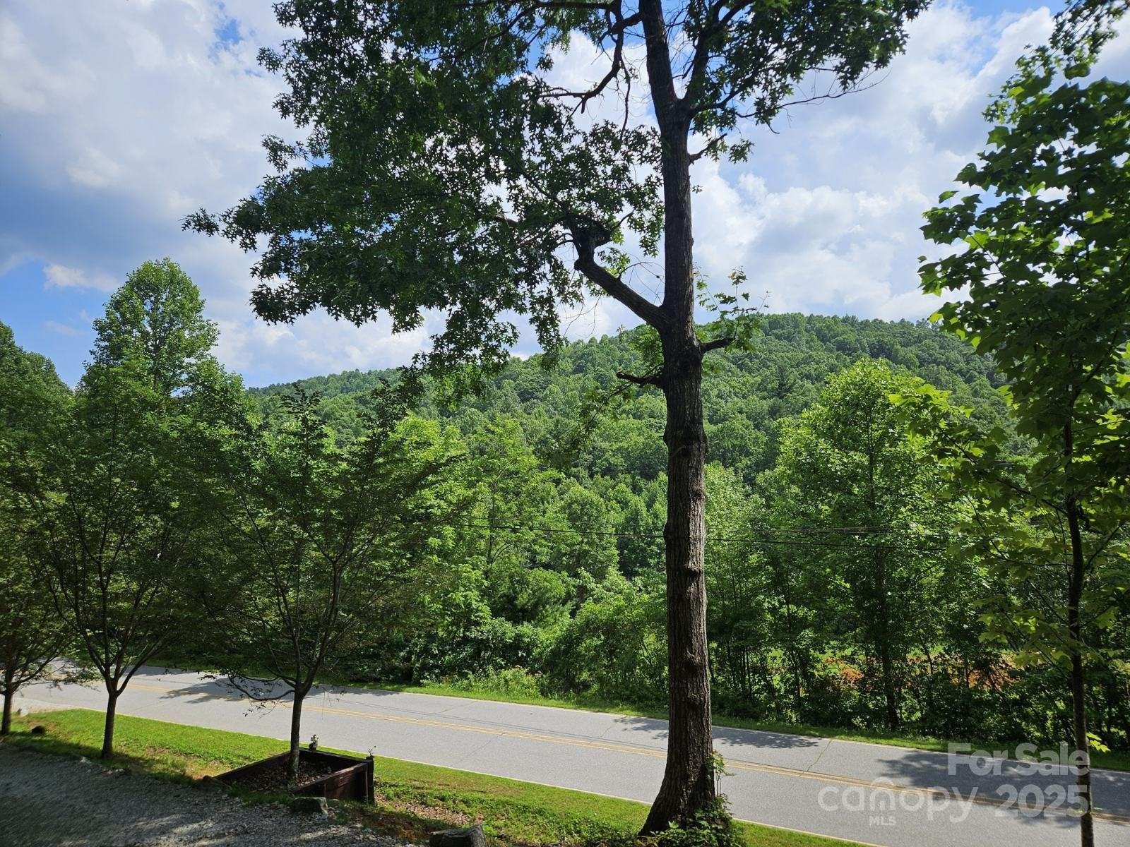 3934 Cabin Creek Road