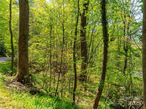 147 Sidney Lanier Drive Lake Lure NC 28746