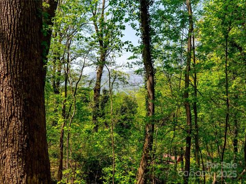 147 Sidney Lanier Drive Lake Lure NC 28746