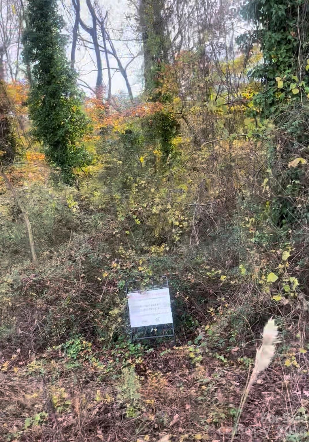 Wilson Heights - Land